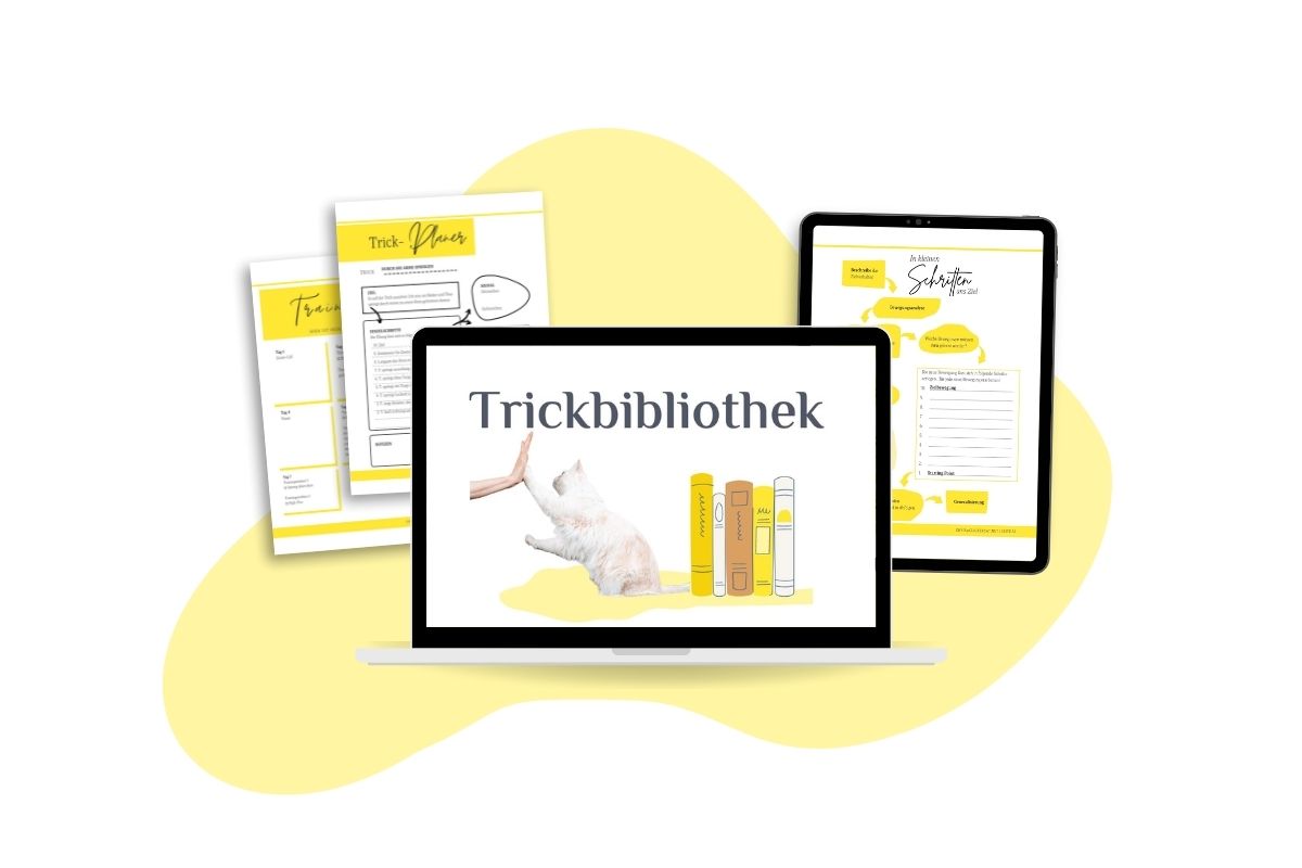 Clickstart Bonus Trickbibliothek
