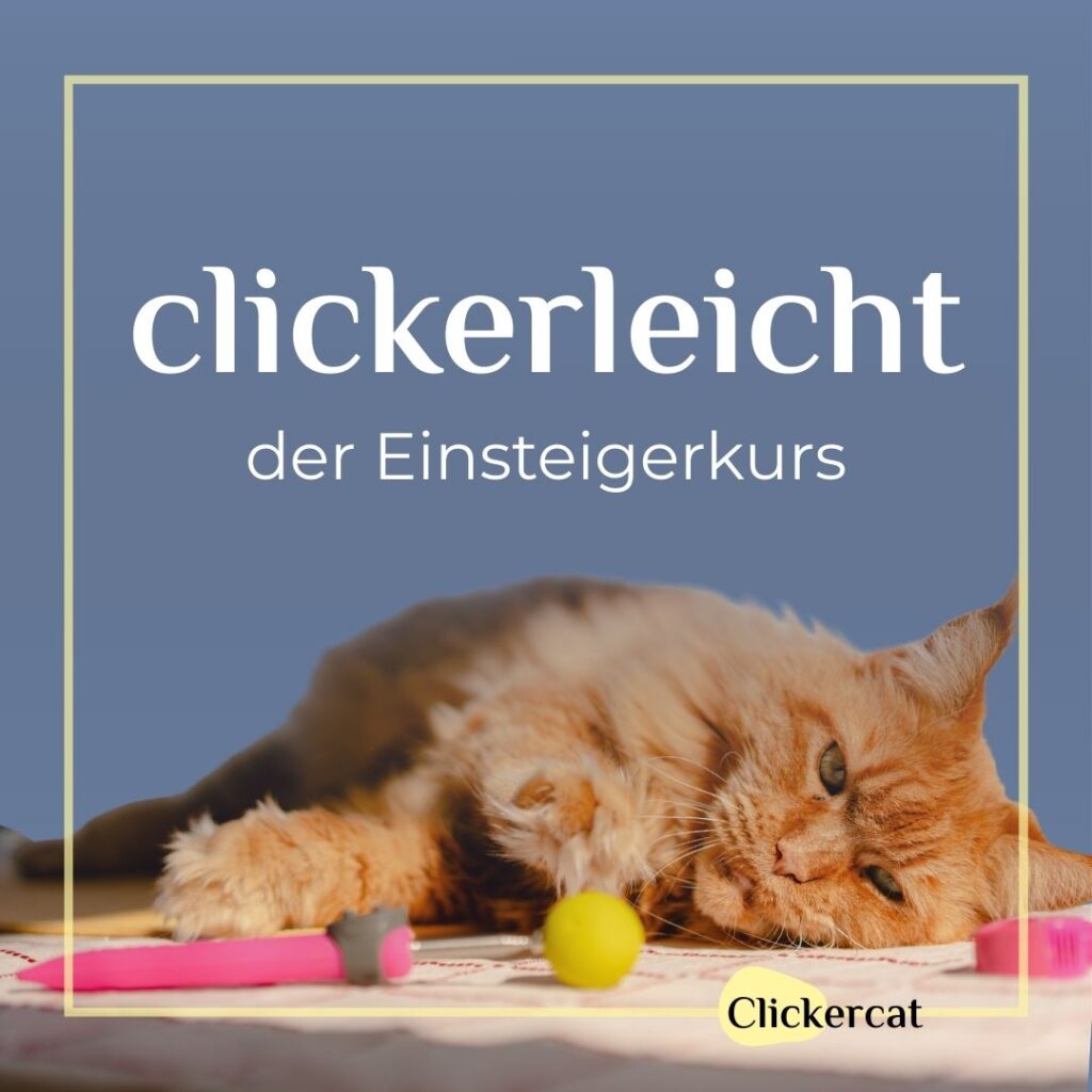 Clickerleicht Kursbild