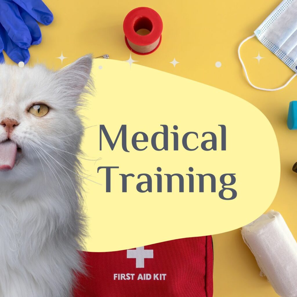 Medical Training Kurs