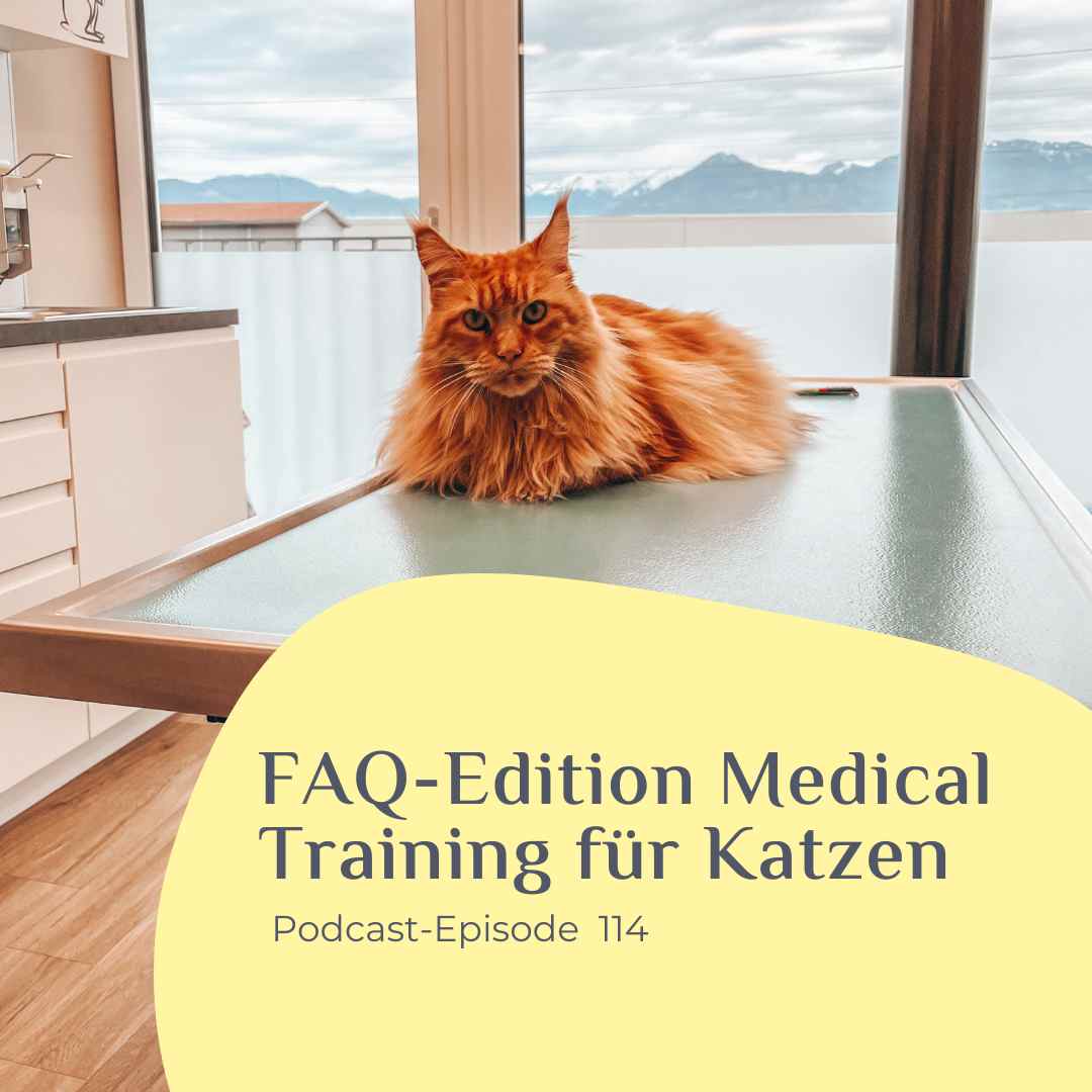FAQ-Edition Medical Training Katzen