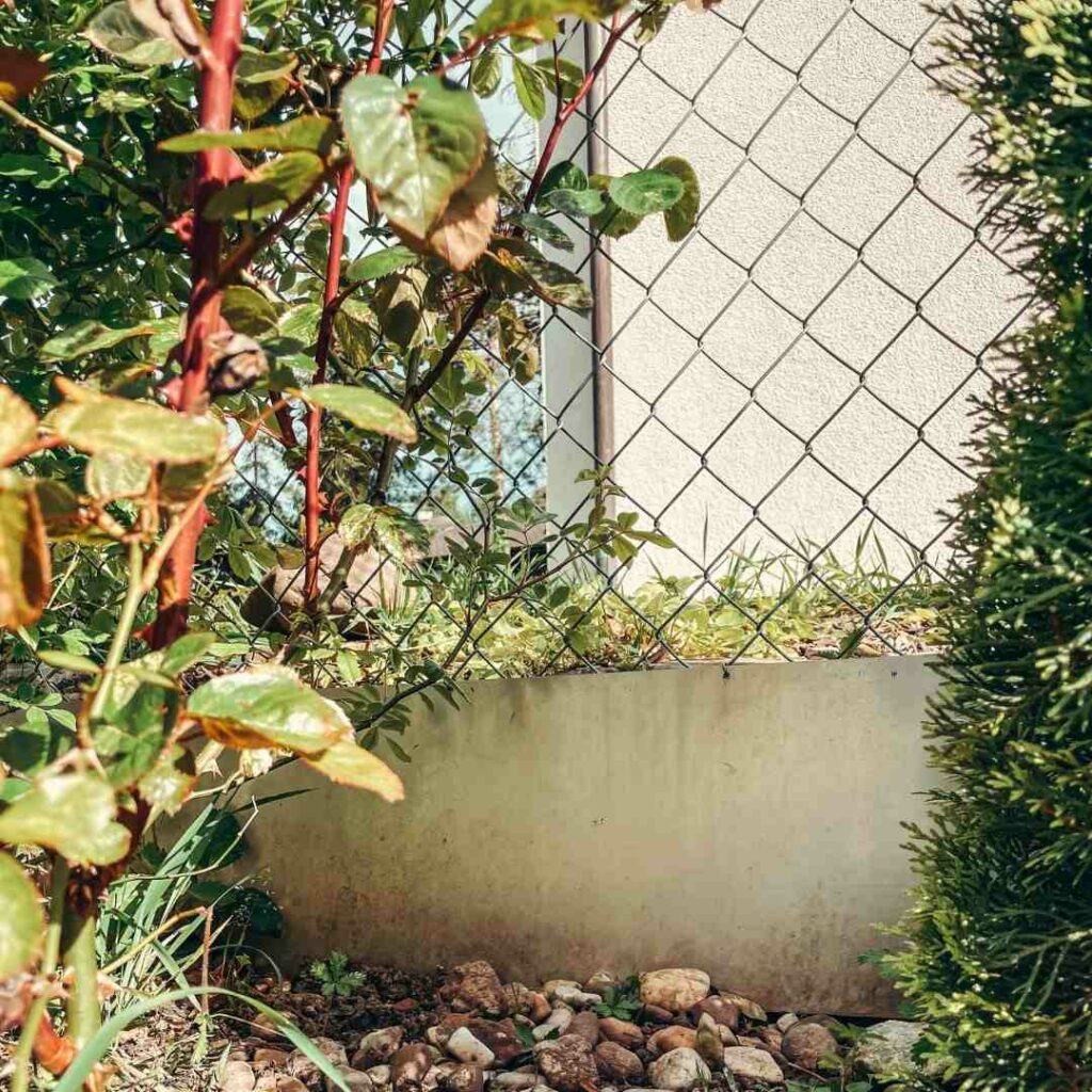 katzensicherer Garten Abschluss Unterkante Gartenbeet