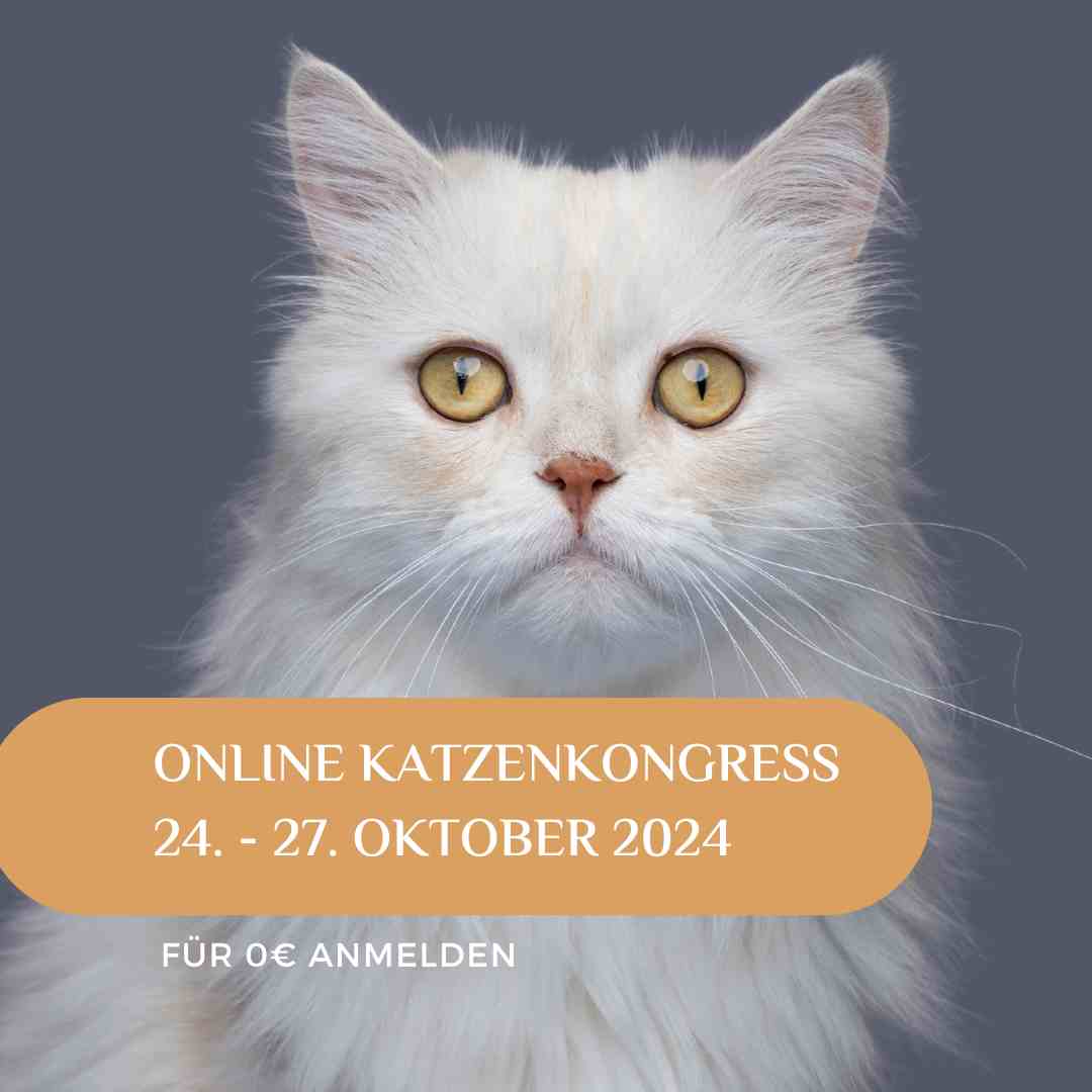 online Katzenkongress 24. - 29. oktober 2024