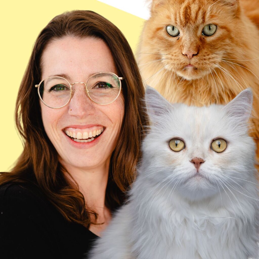 Clicker Cat Club