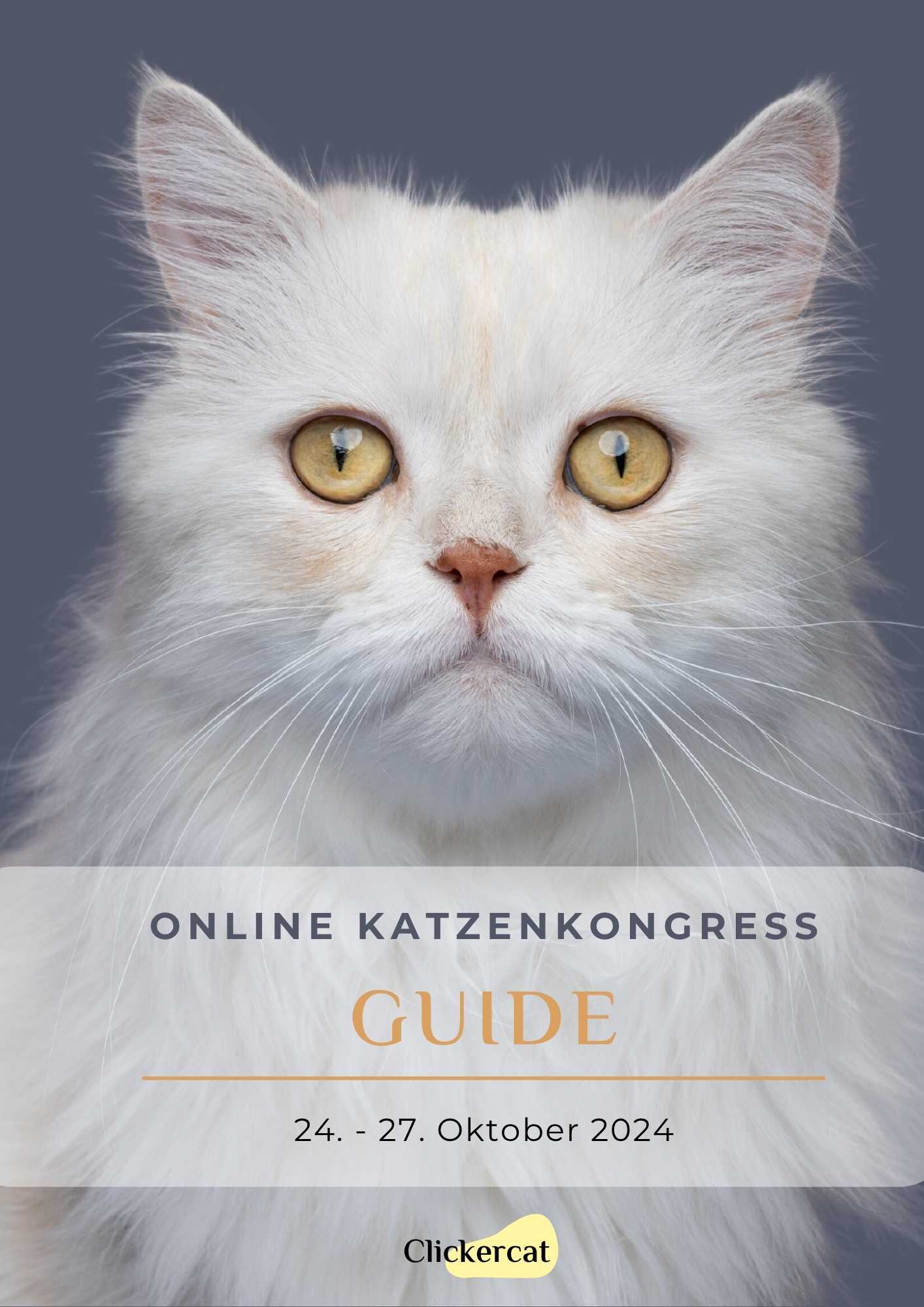 Guide OKK24