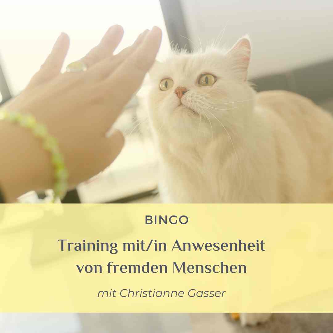 Training mit-in anwesenheit von fremden Menschen