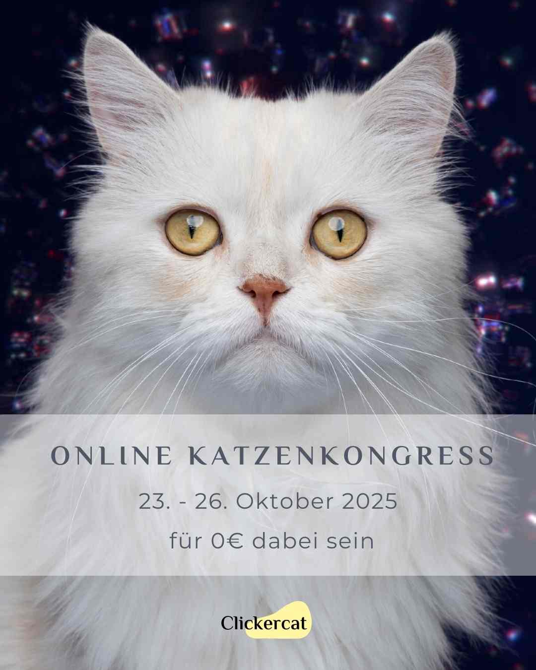 Online Katzenkongress 2025