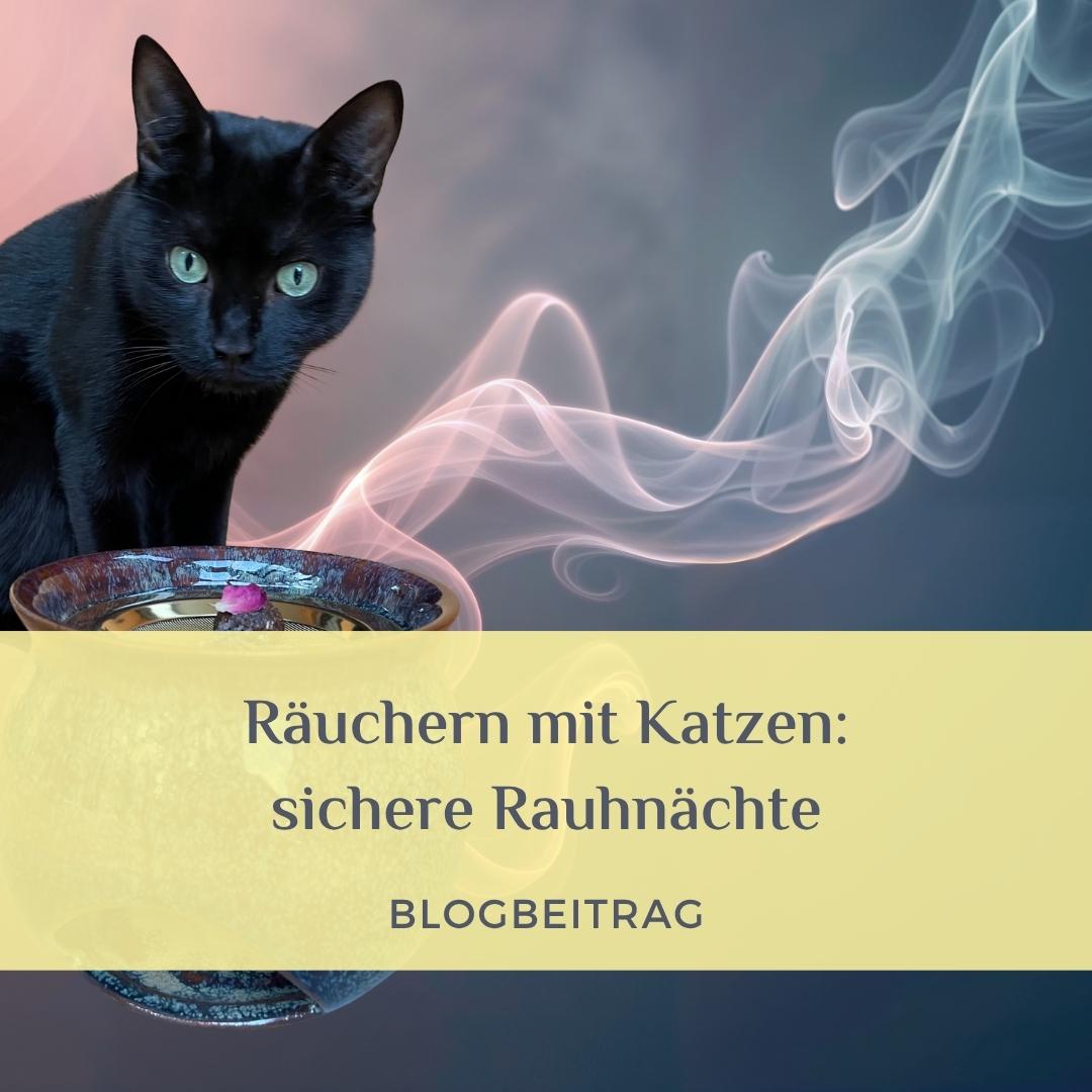 Räuchern mit Katzen