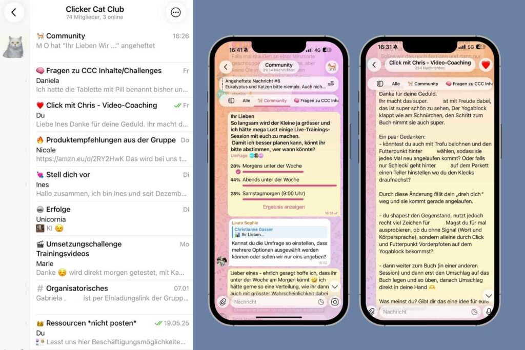 Auszüge aus der Telegramgruppe