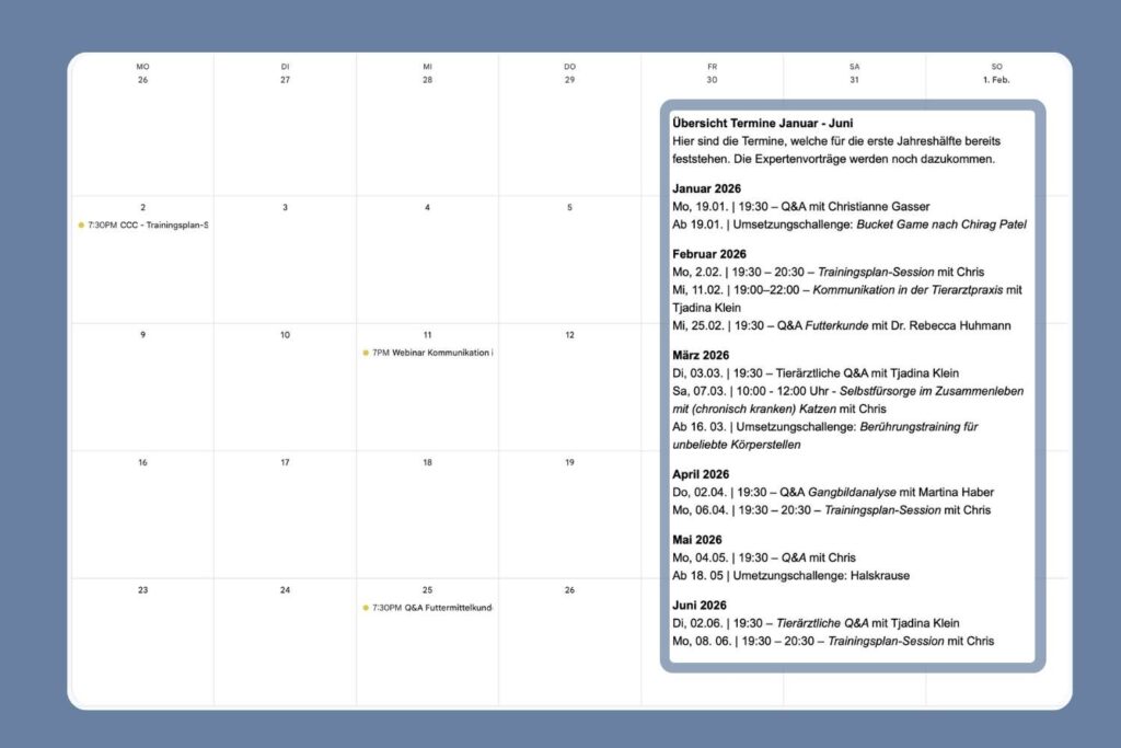Terminkalender Ansicht und Auszug aus Email
