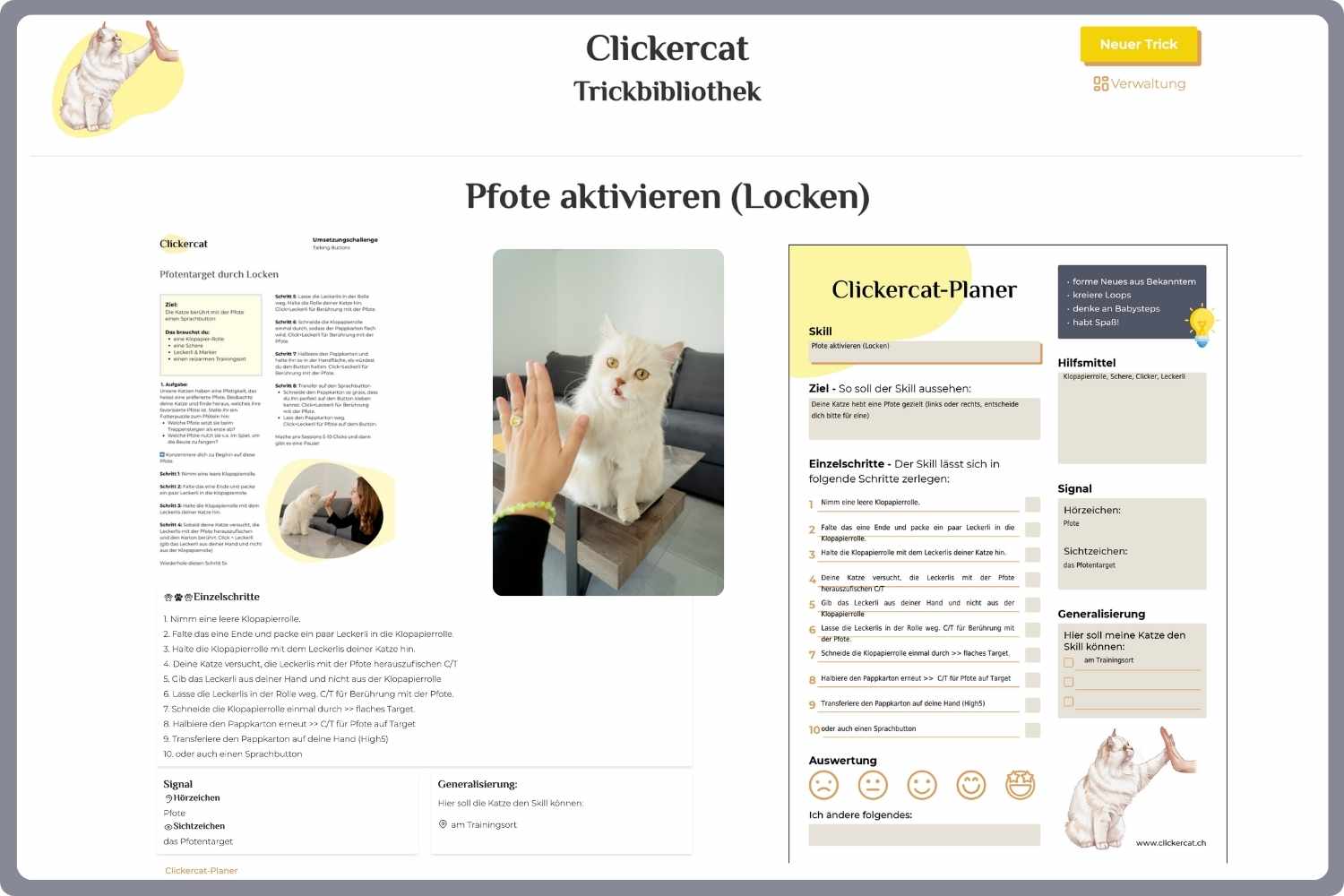 Screenshot aus der Trickbiblitohek, wie ein Trick aussieht wenn wir ihn planen