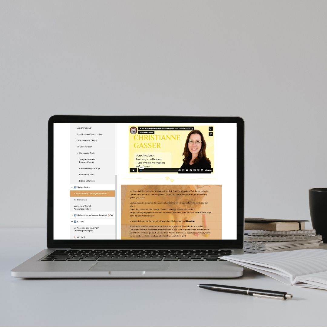 Mock up Clickerleicht Clicker Basics mit Schreibtisch und Computer