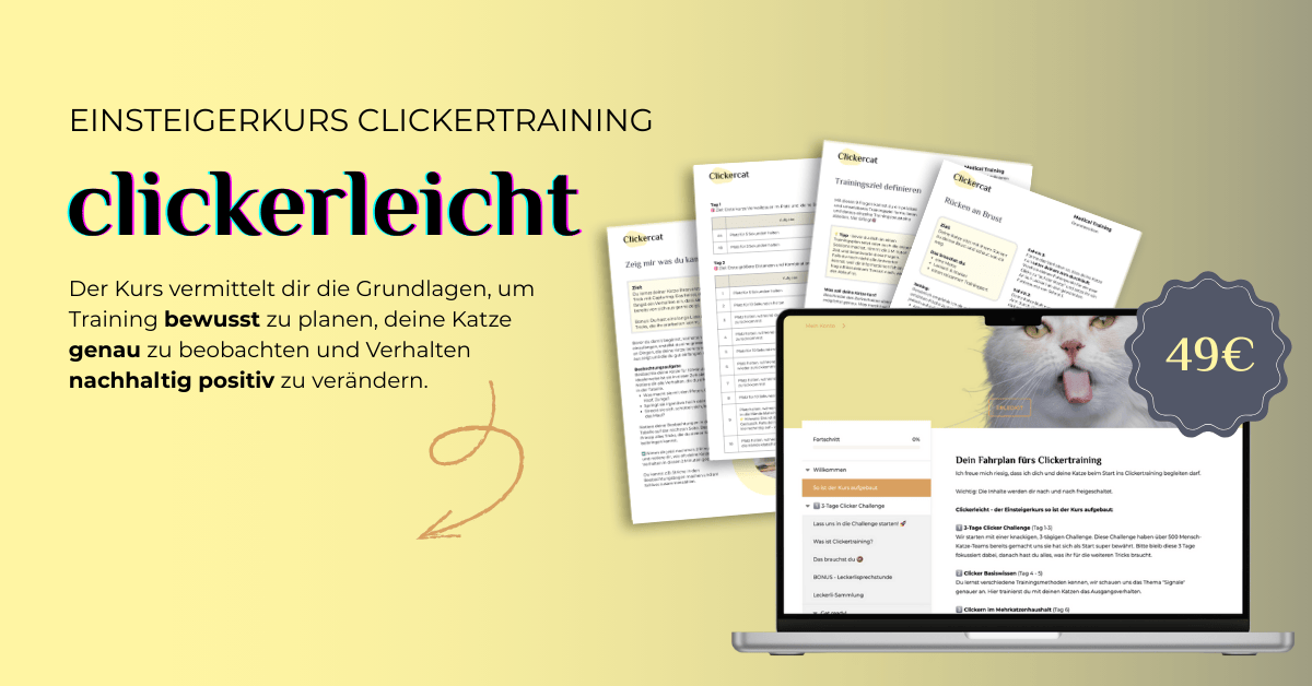 Clickerleicht Werbebanner