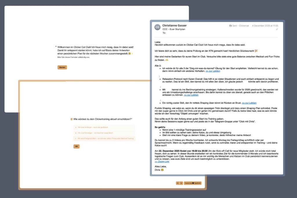 Typeform und Email für den Startplan