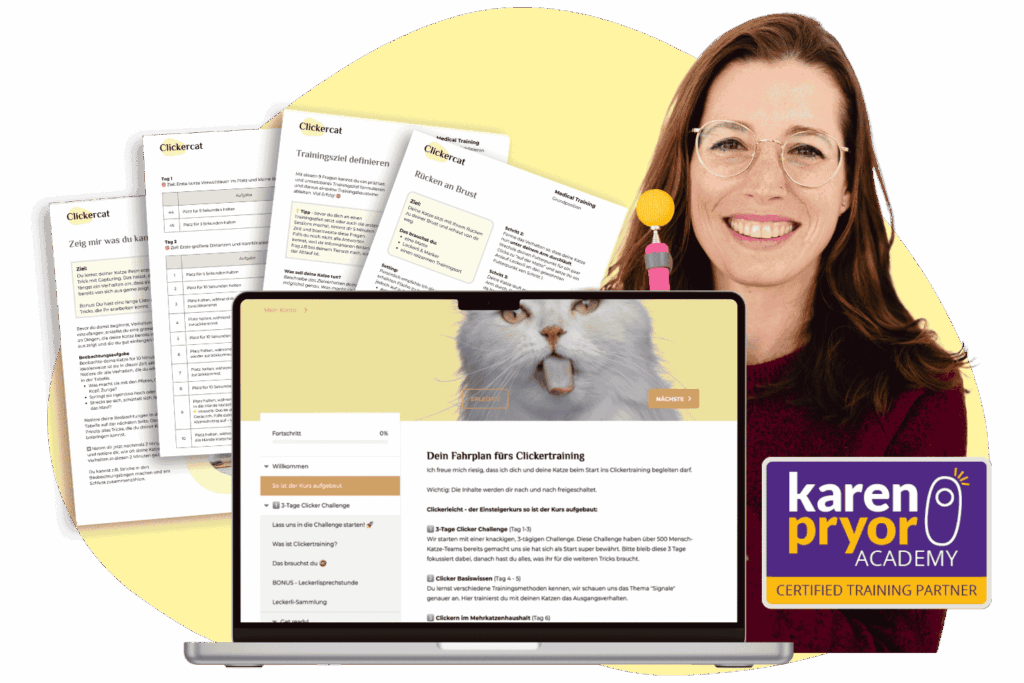 Banner Clickerleicht KPACTP