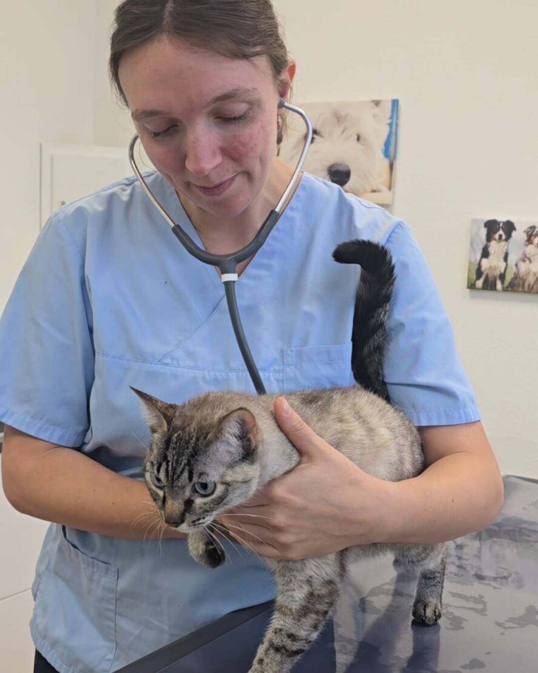 Dr. Kim Hege