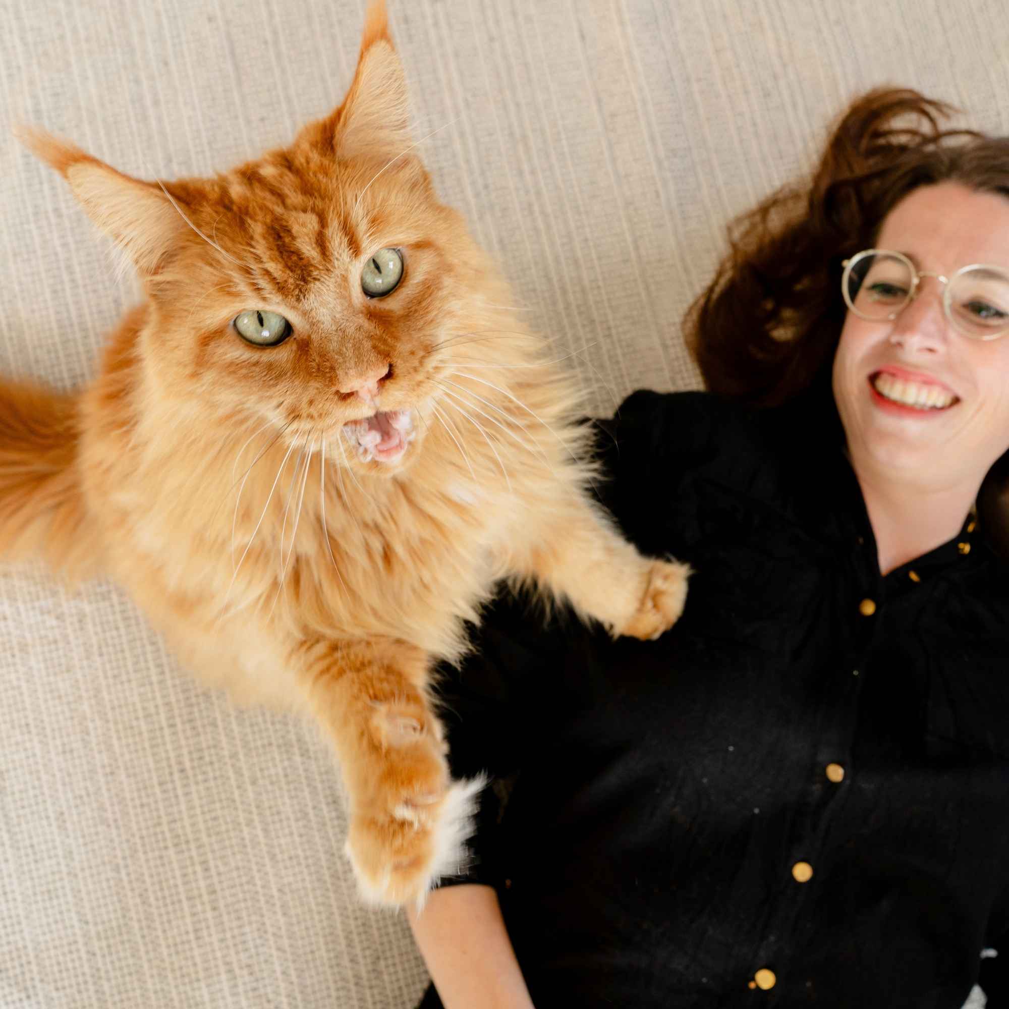 rote Katze steht mit Vorderbeinen auf Frau, die auf dem Boden liegt
