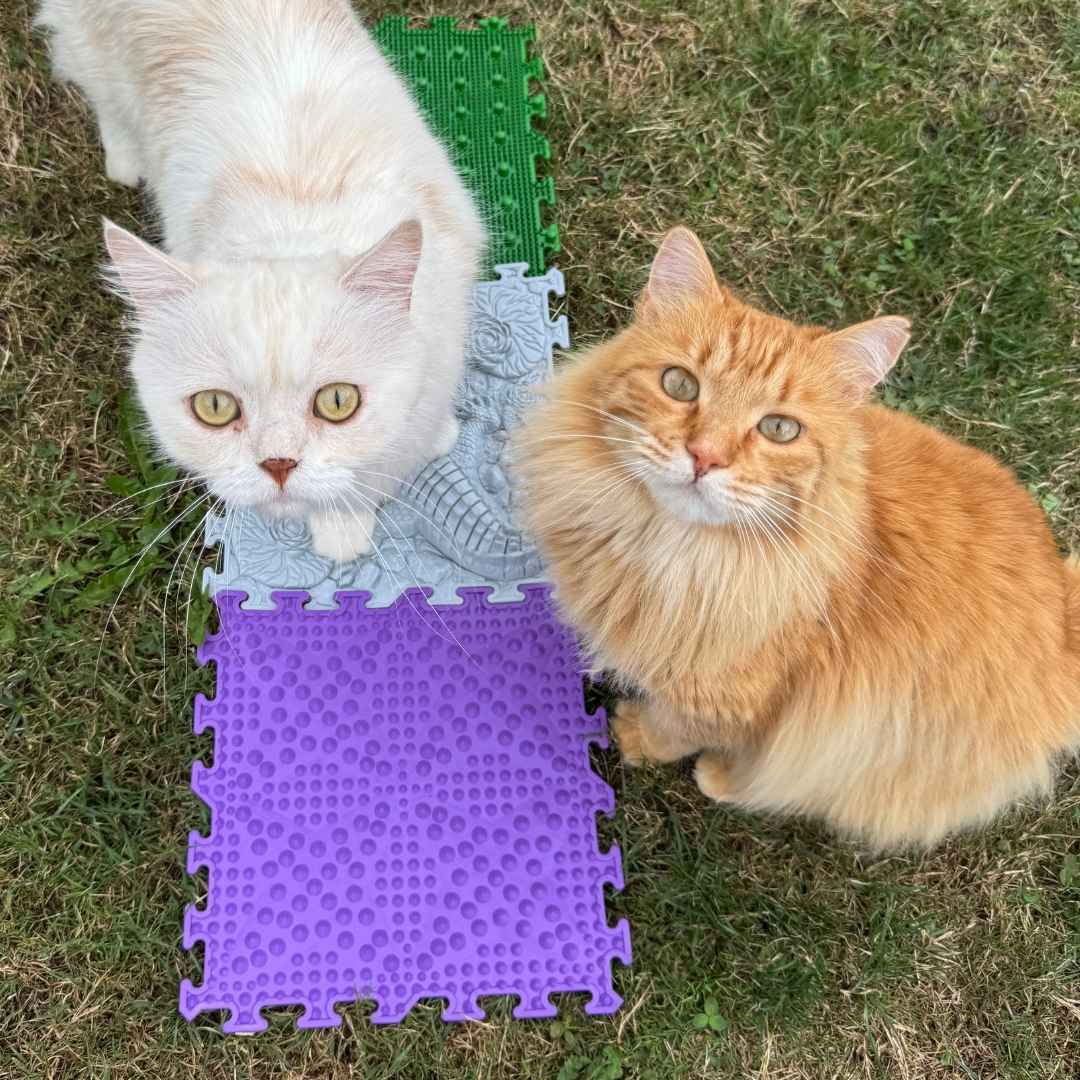 Geburi-Special Frust